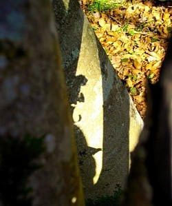 Ombre et Lumière s'envisagent. Photo Laurent MELCOT-BLANCHET